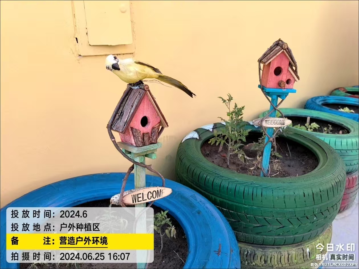 鸟巢立杆