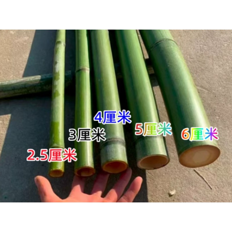 竹竿 直径3cm 长120