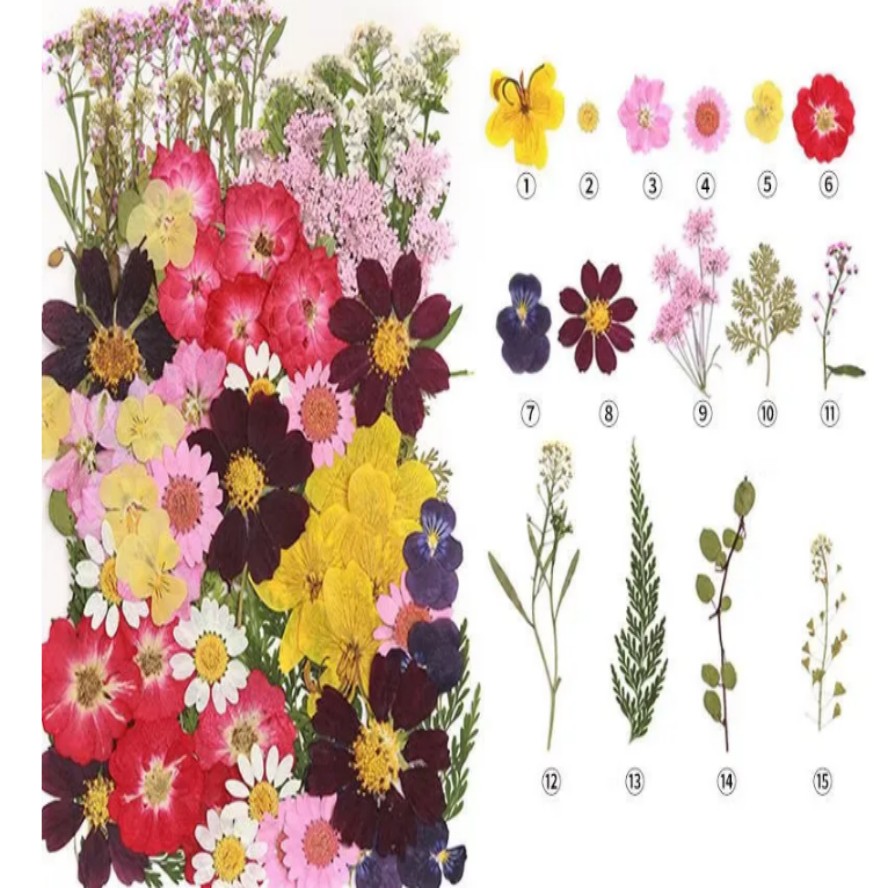 干花压花材料包45-85朵