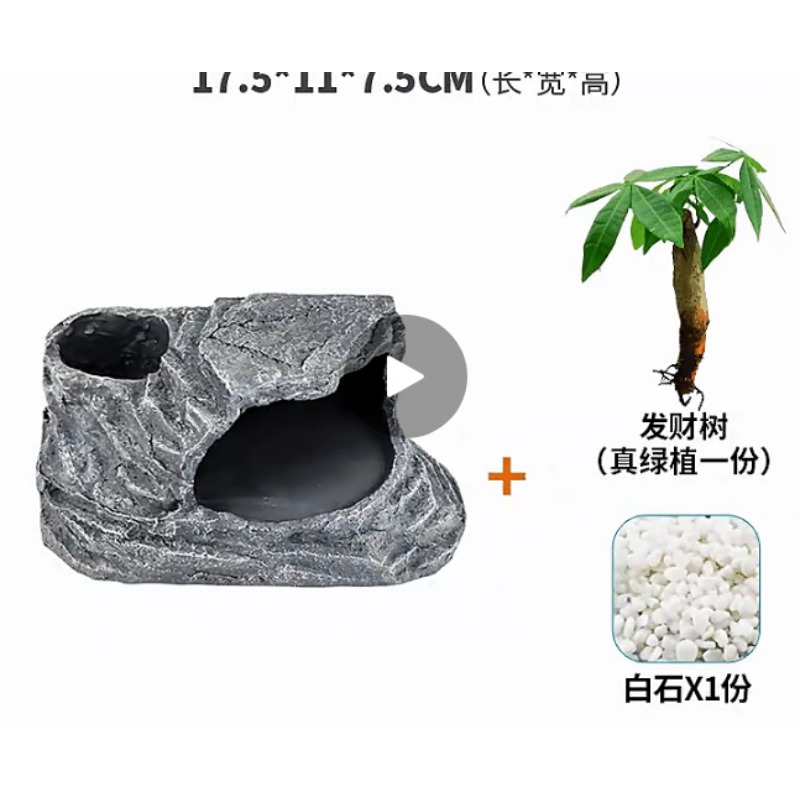乌龟晒台小号躲避晒台+发财树