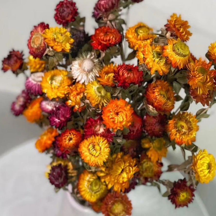 "小雏菊干花花束客厅摆设装饰七彩菊花瓶干花插花  hm"