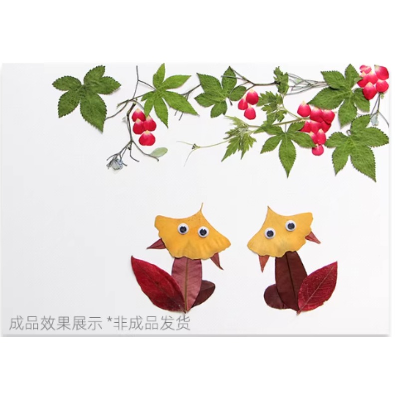 树叶干花材料包21*29