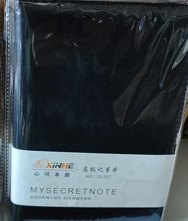 100页皮面笔记本